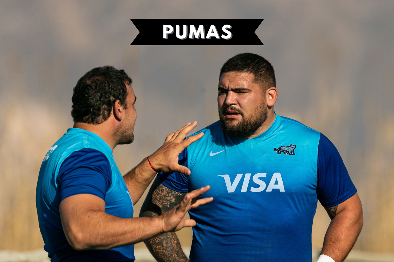 Los Pumas